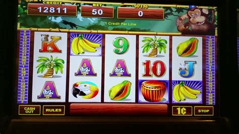 wild monkeys slot machine